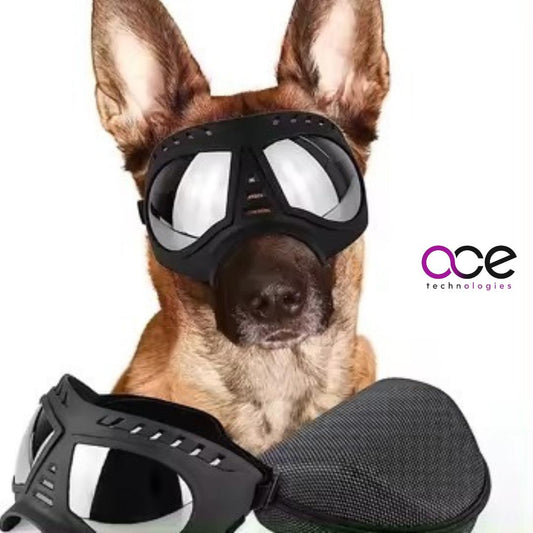 Gafas Protectoras Para Mascota Con Estuche