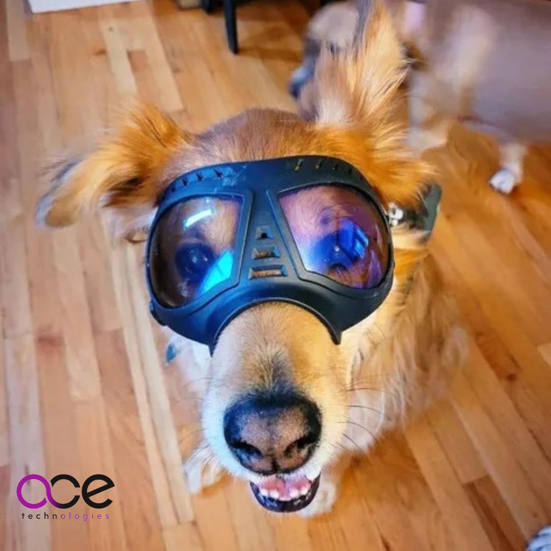 Gafas Protectoras Para Mascota Con Estuche